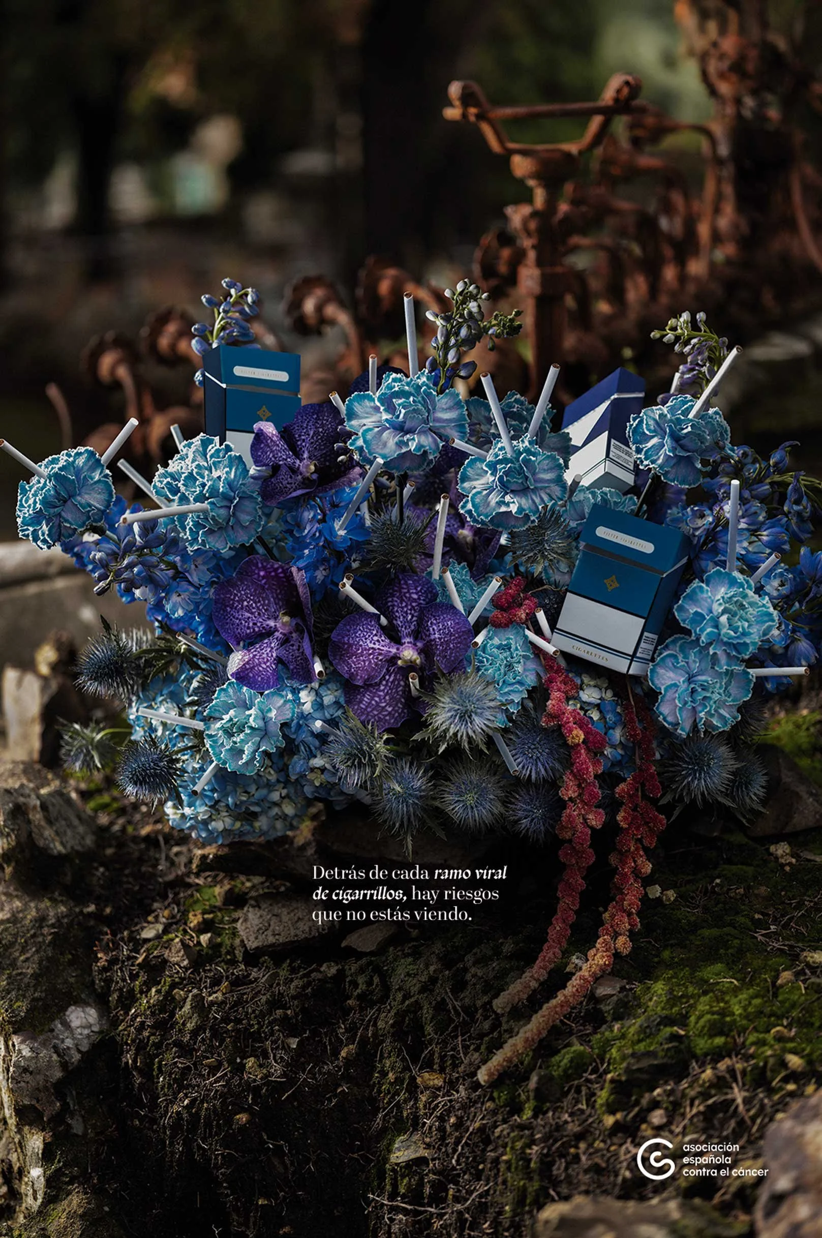AECC_Bouquete Ramo Azul.jpg