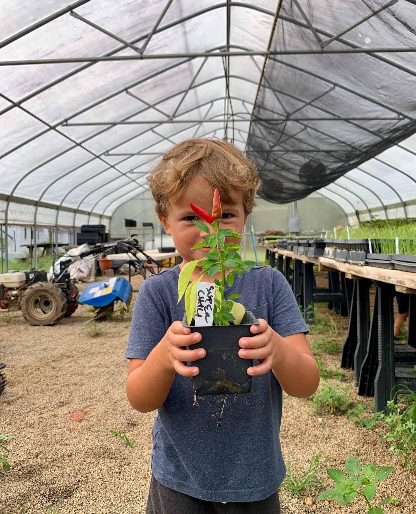 🌸 We are so excited for our Spring Kid's Gardening Program to start in ONE WEEK- March 6th! This is an amazing way for kids to be outside in the afternoon and connect with nature.⁠
⁠
🎟 See tickets and details at the 🔗 in bio!⁠
Spring Session: Marc