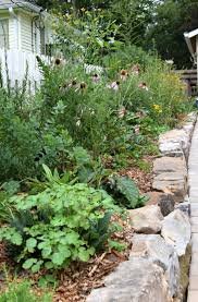 Wild & Rooted: Native Plants 101