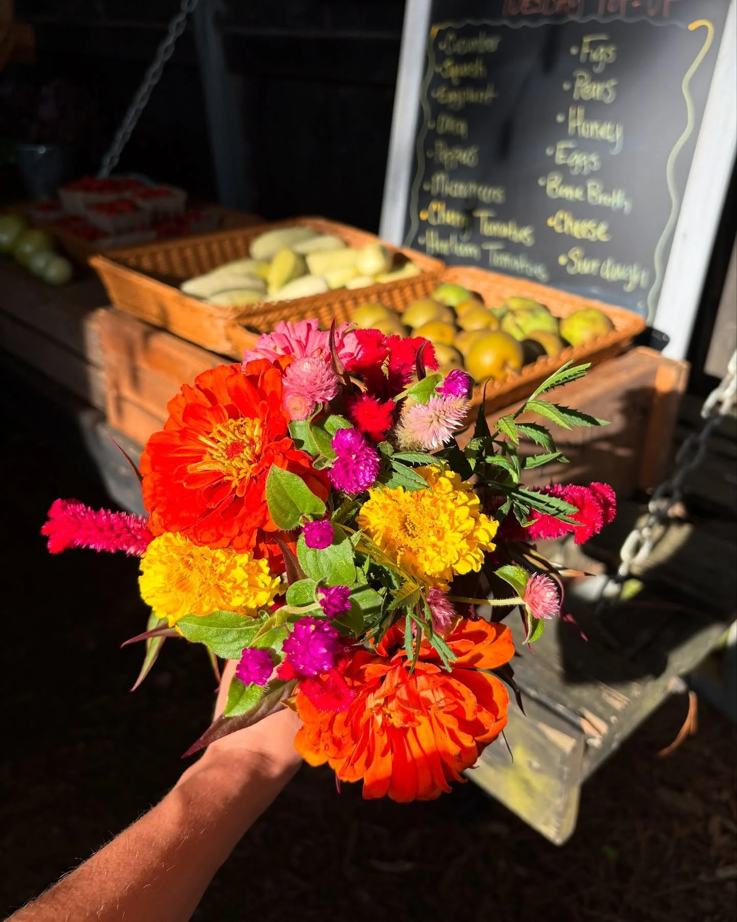 The best part of Tuesday? The Serenbe Farms Pop-Up Market, of course! 🧺🥬 Join us Tuesdays during CSA pickup from 4:30-7pm at Serenbe Farms to shop fresh-picked organic produce and local favorites we know you&rsquo;ll love!⁠ Plus this week the Seren
