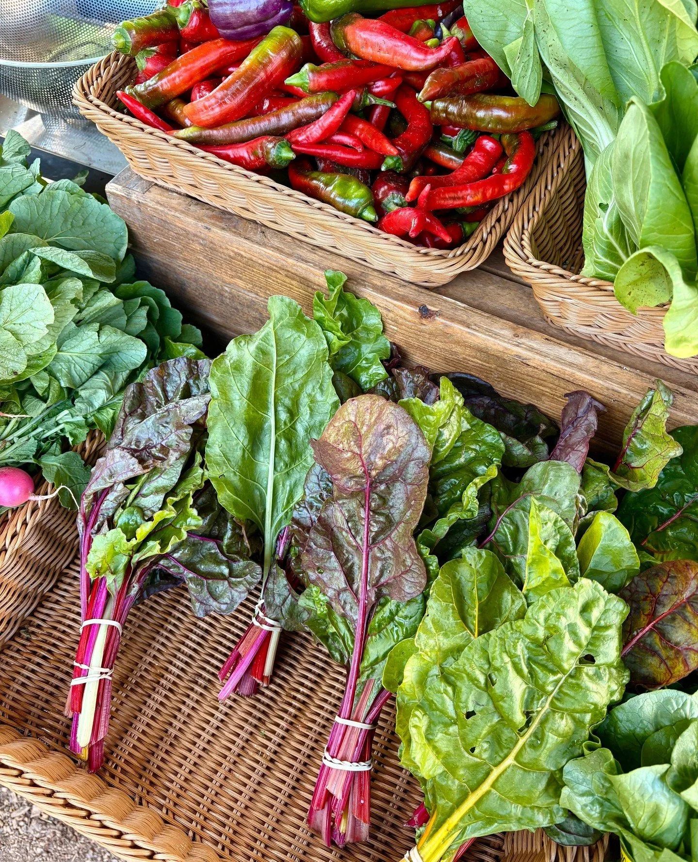 We are so excited for the Serenbe Farmers Market this Saturday 11/1 9am-1pm on the Grange Green. 🧑&zwj;🌾🍁 There will be many amazing local vendors this weekend, we can't wait to see you there. ⁠
⁠
Saturday 10/25 Lineup: ⁠
🥬 Serenbe Farms organic 