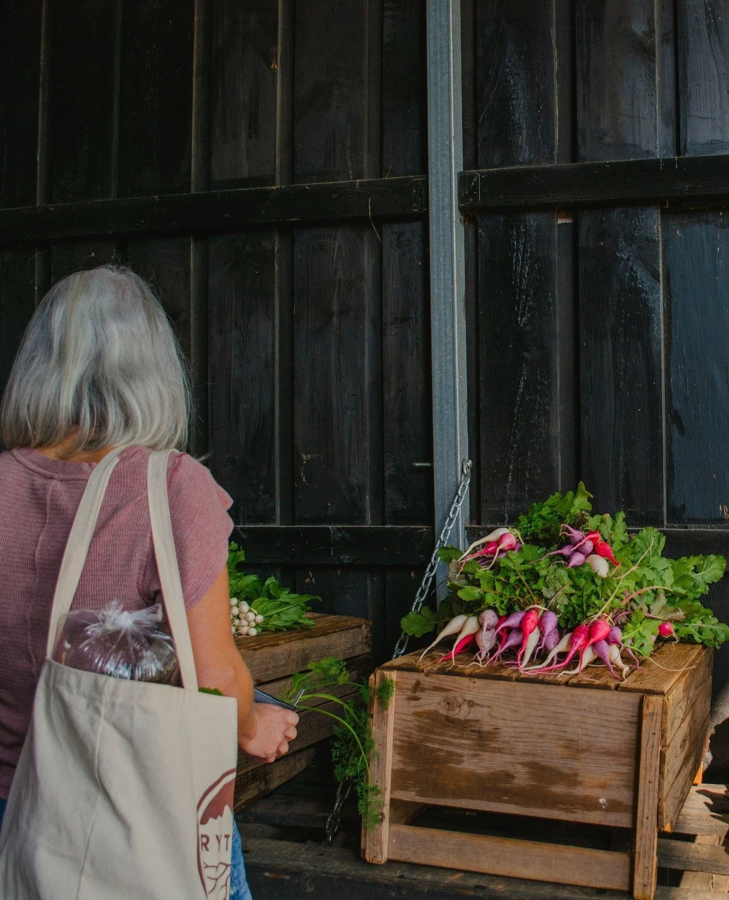 Feeling a little emo because its our last CSA pickup of the year today! We love all our CSA members so much. Thank you for supporting our organic farm so we can continue our mission towards the health of our environment, our bodies, and our soils. Bu