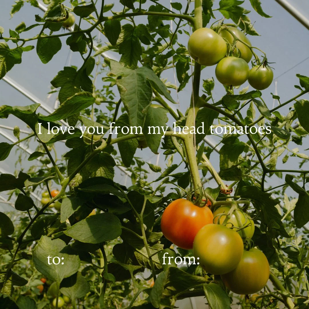 When Valentine's Day is this weekend and he hasn't asked you to Serenbe his Valentine yet