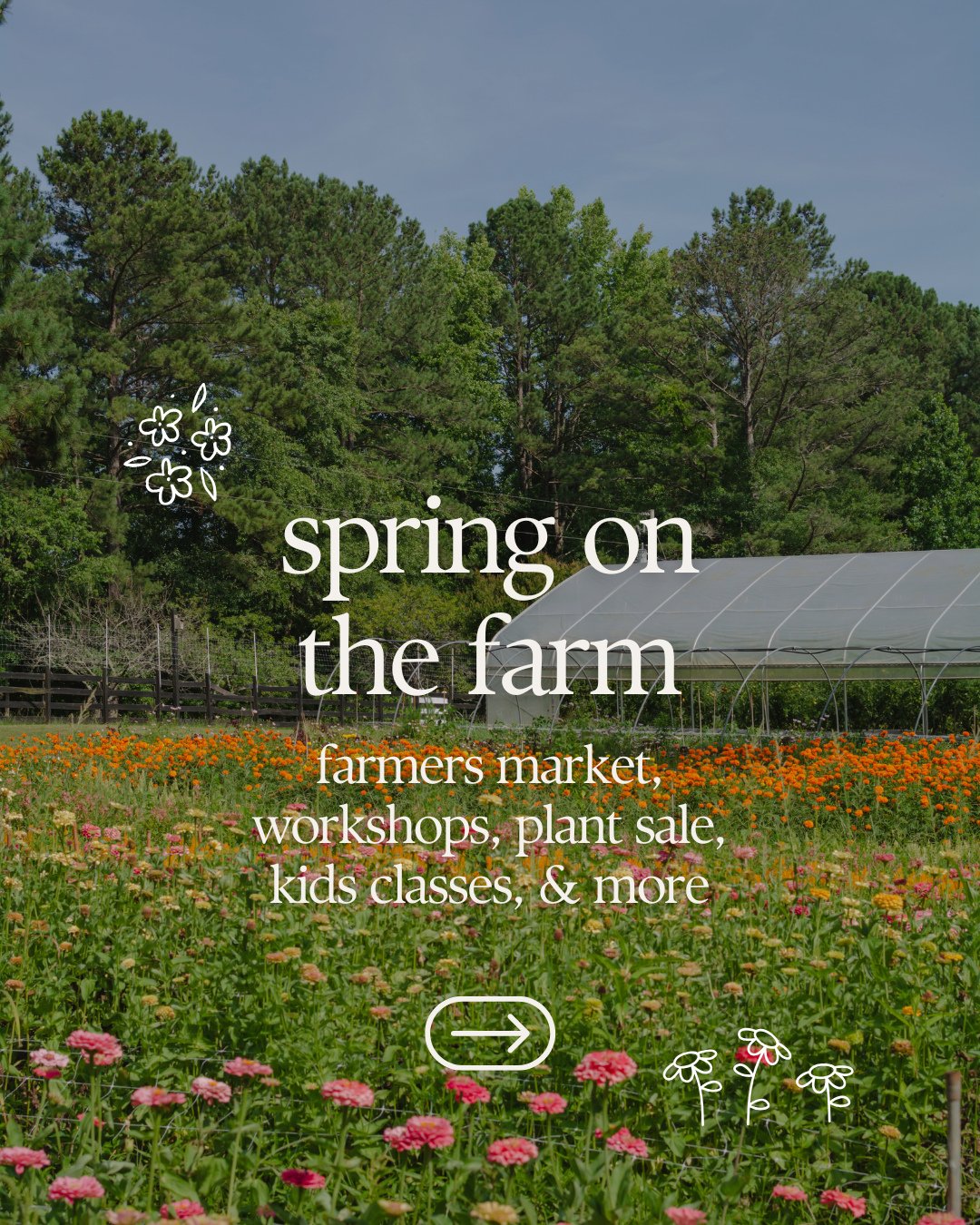 Save this post for a farm fresh spring! 💐 See all the details at the link in our bio!