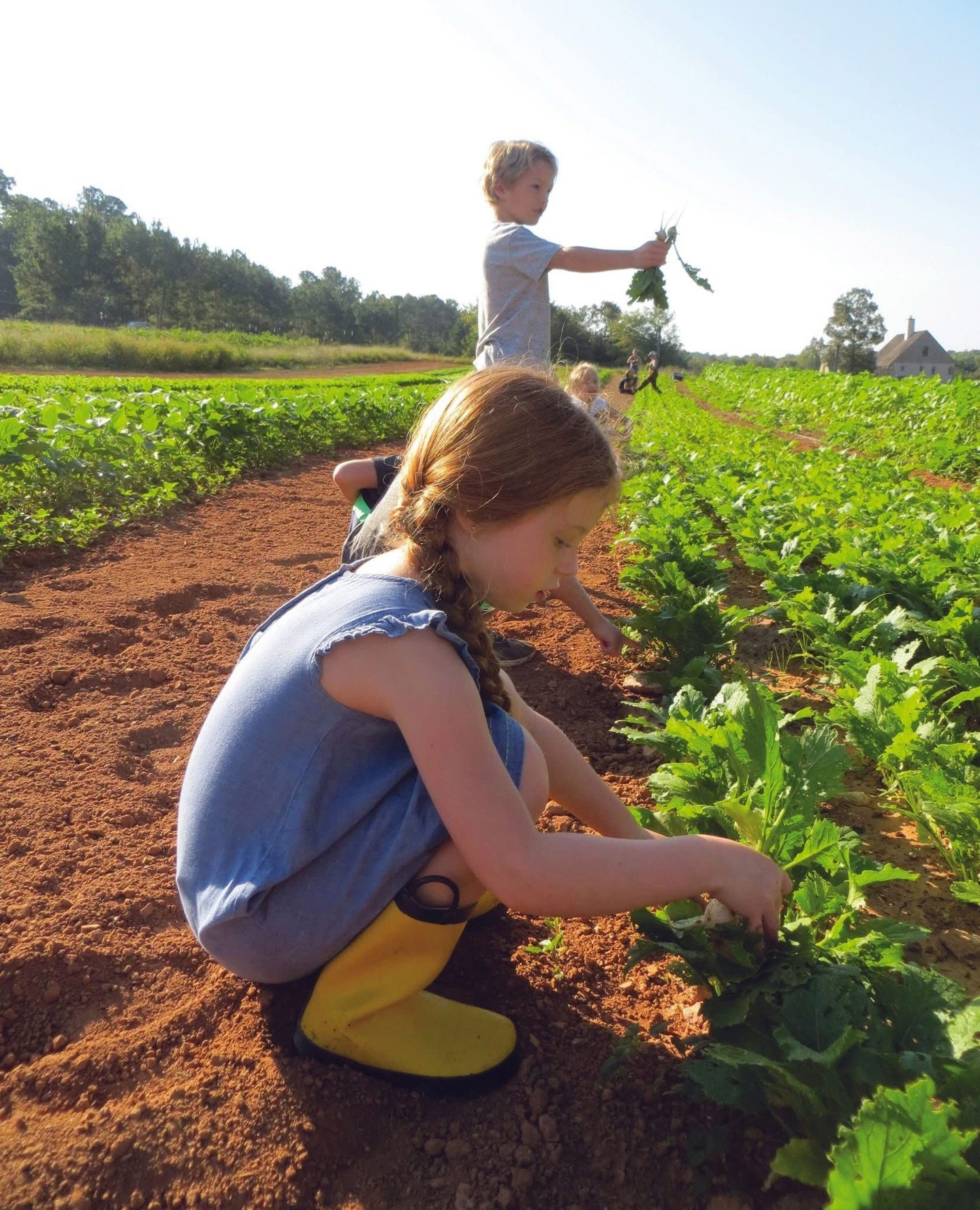 Our Kids Gardening Spring Session begins next week, and we&rsquo;re inviting little growers to dig in with us!⁠
⁠
Wednesdays or Thursdays | 3:30&ndash;4:30 PM⁠
10-week Spring Session: March 11/12 &ndash; May 21/22⁠
Ages 3-8⁠
Expect muddy hands, happy