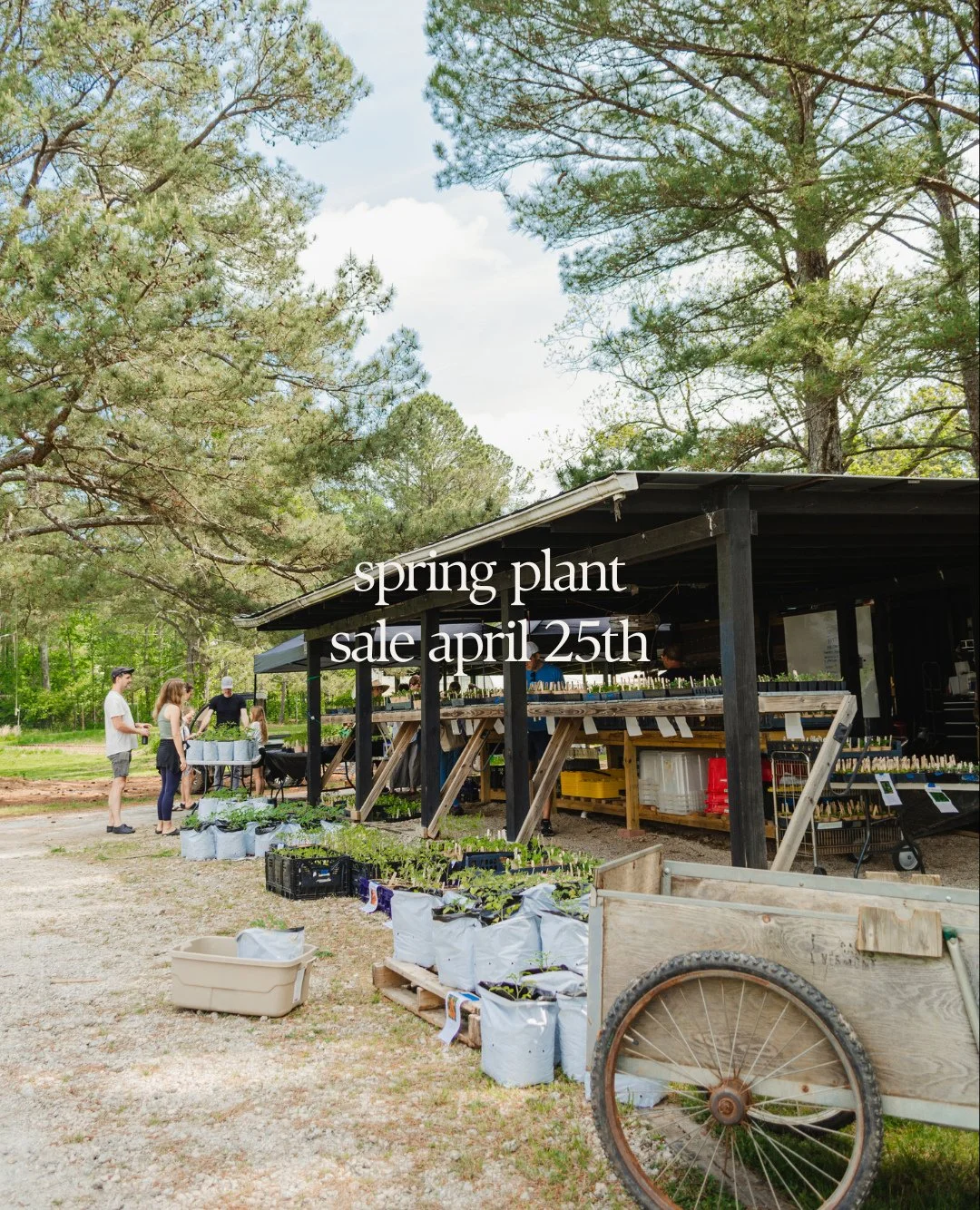 🌱 We are so excited to welcome you to our annual Spring Plant Sale! Are you ready to plant your dream spring garden? Shop organic plants for your garden or home farm from ready-to-plant vegetables, herbs, and flowers grown by your local farmers. ⁠
⁠