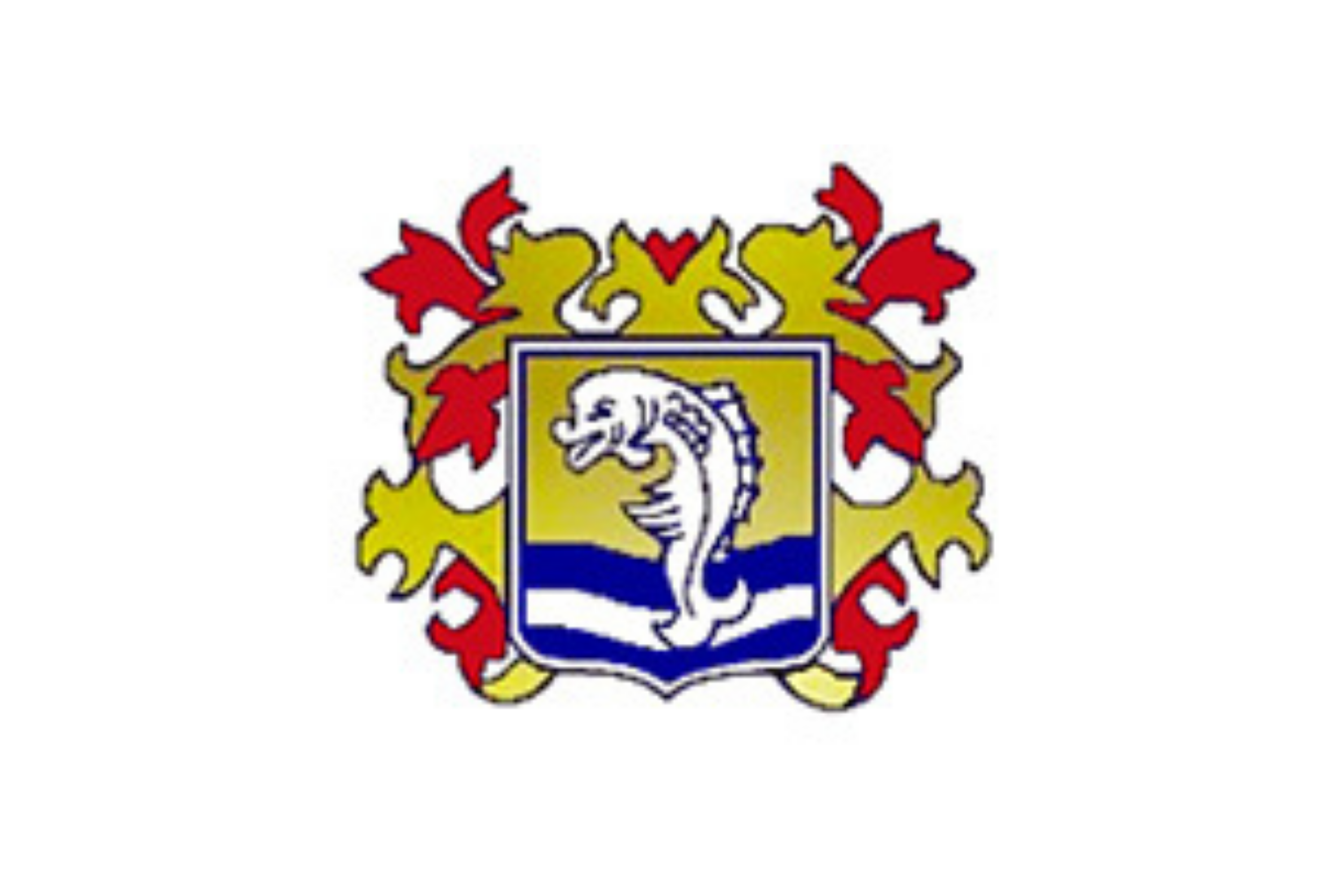 Dolphin Maritime Logo