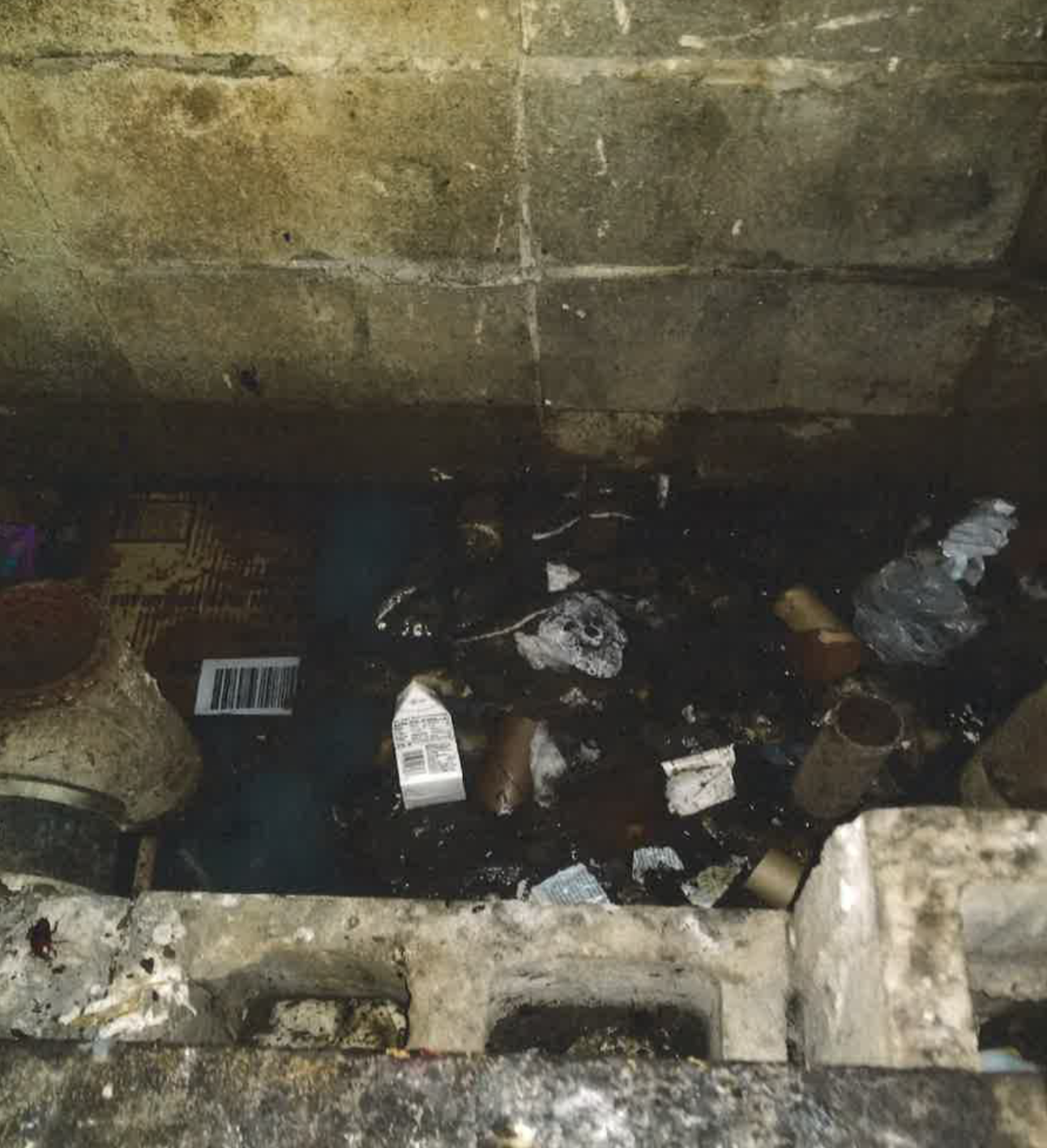 Garbage and roaches inside pipe chase, which has missing door