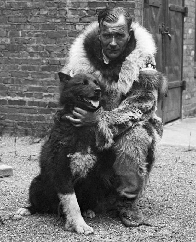 More Heroism, Just Outside the Arctic Circle: How Alaskan Sled Dogs Saved Diphtheria Patients in Nome