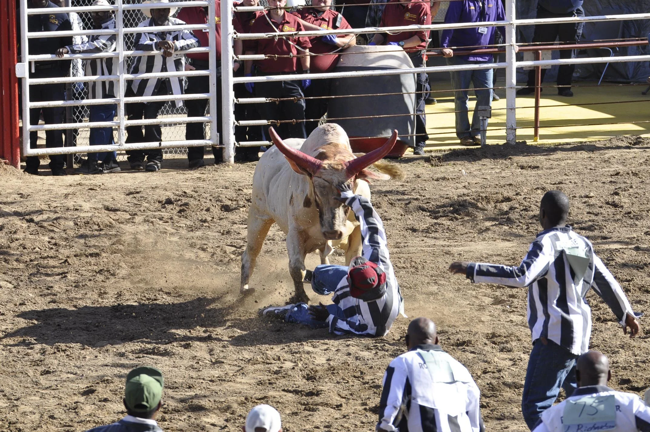  A Sentence of Six Seconds: How Prison Rodeos Buck the System