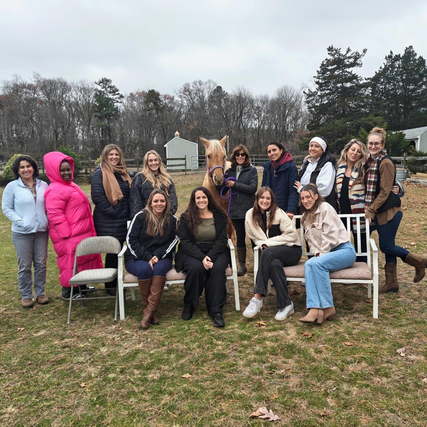 The team at The Healing Tree had an amazing team building event yesterday with our new friends Nicholas, Moony, and Sweet Pea at @operationhope_eap We learned a lot about ourselves, our team, how to better work together, and how to apply this to our 