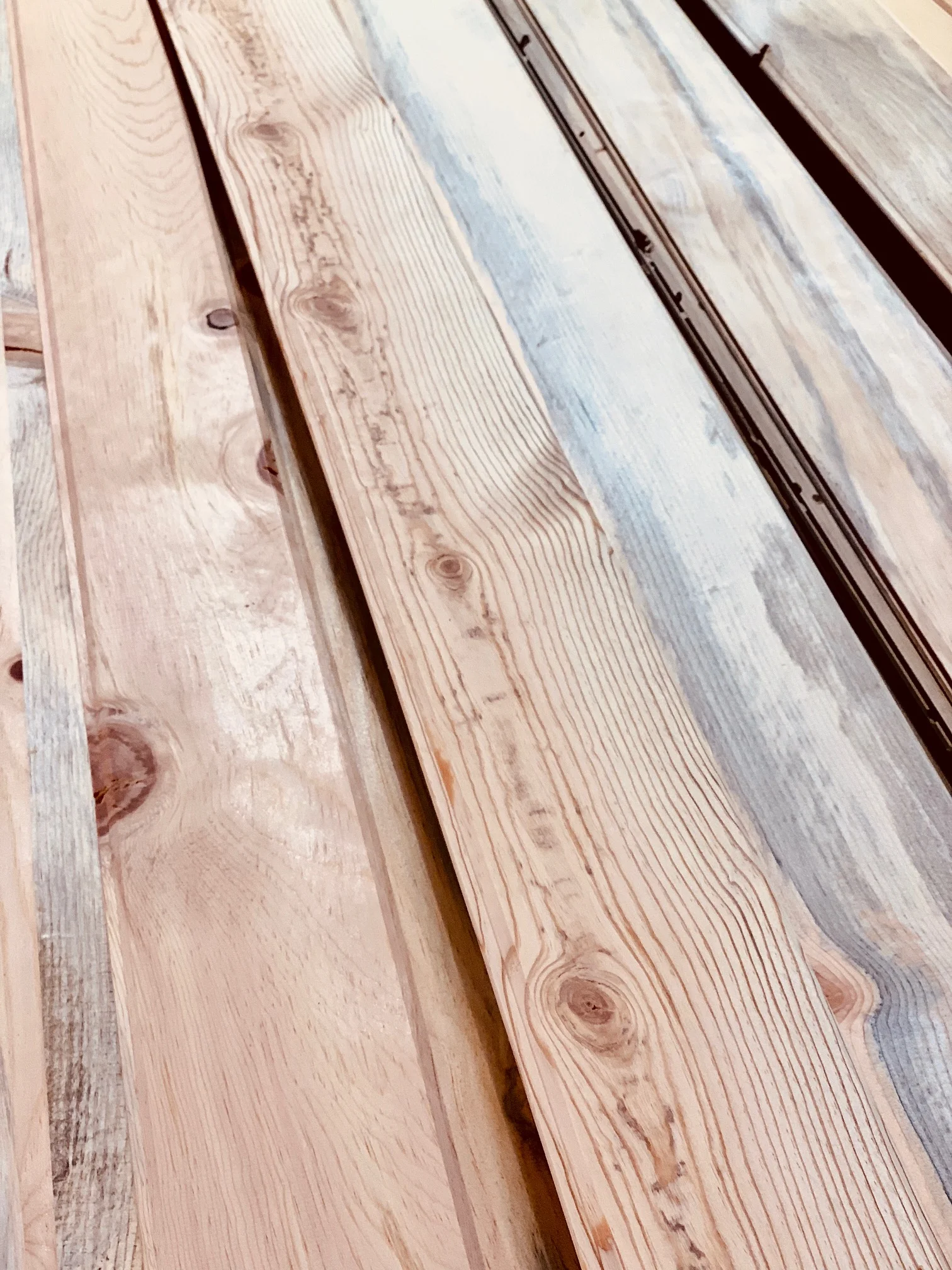 Sugar Pine Bright or Blue