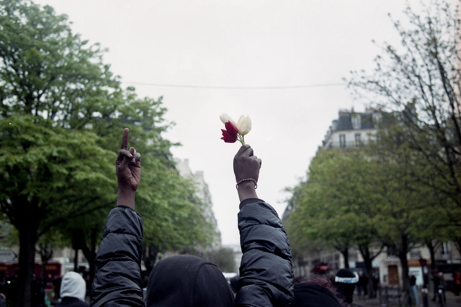 www.nahmlos.com_photo@nahmlos:Bram van Dijk-H_C_017.jpg