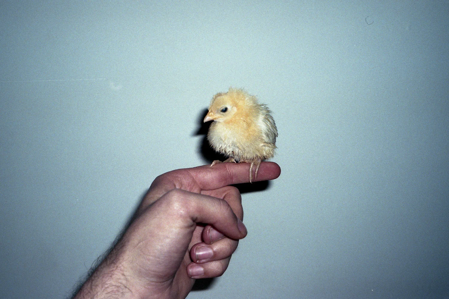 www.nahmlos.com_photo@nahmlos:Bram van Dijk-H_C_034.jpg