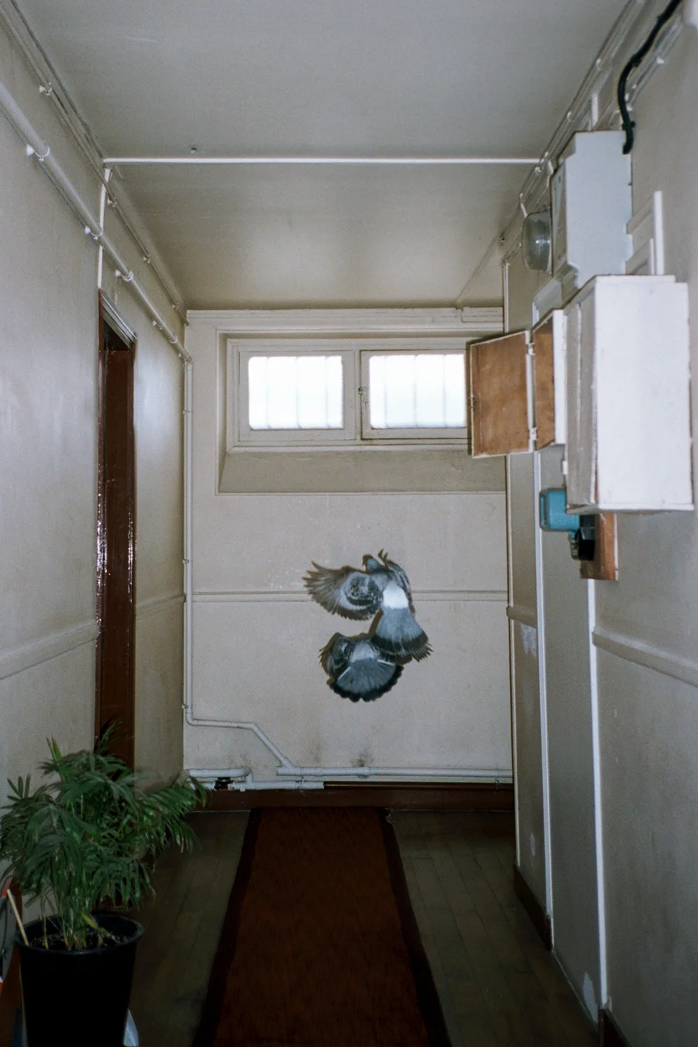 www.nahmlos.com_photo@nahmlos:Bram van Dijk-V_C_099.jpg