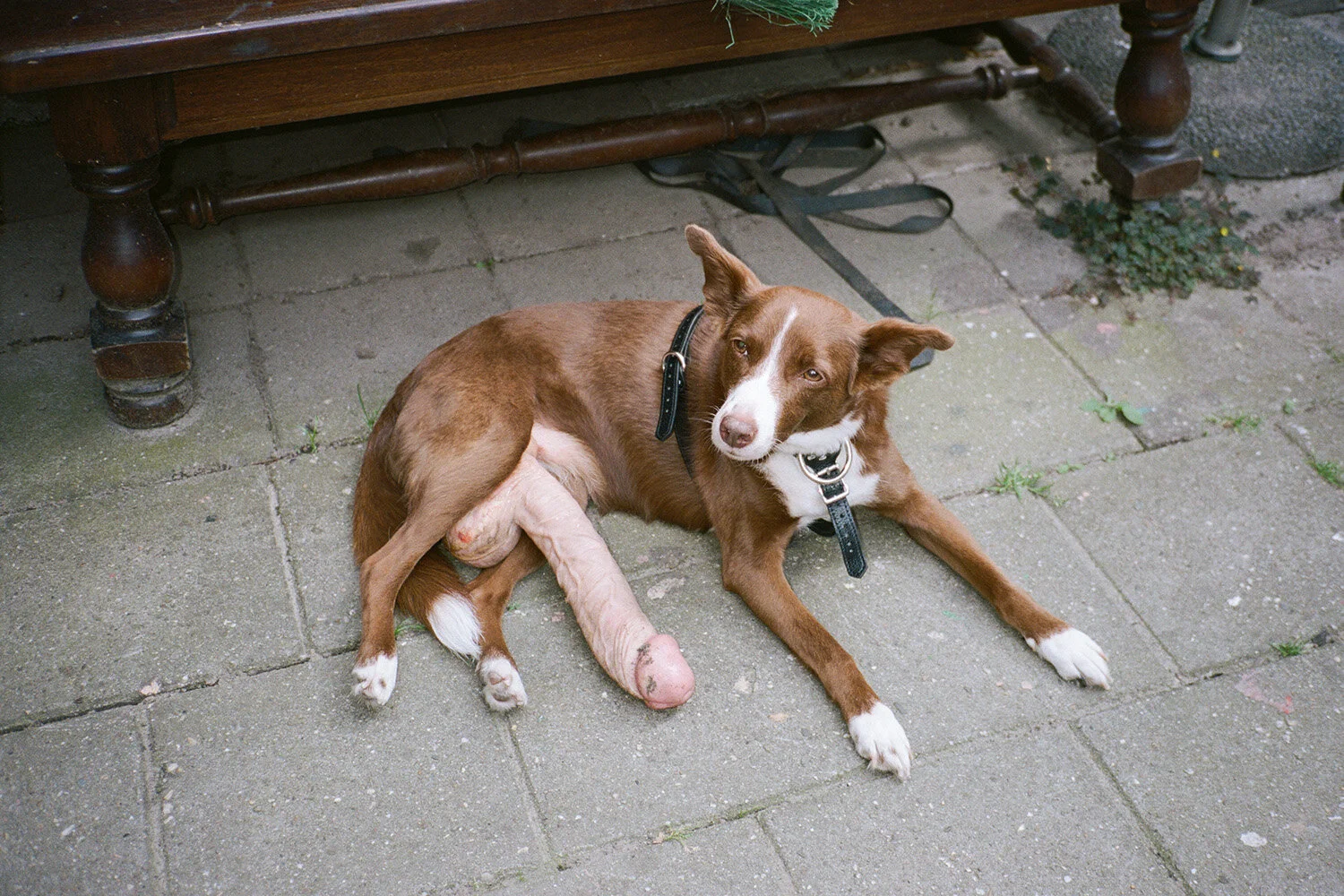 www.nahmlos.com_photo-nahmlos:Bram van Dijk-H_C_157.jpg