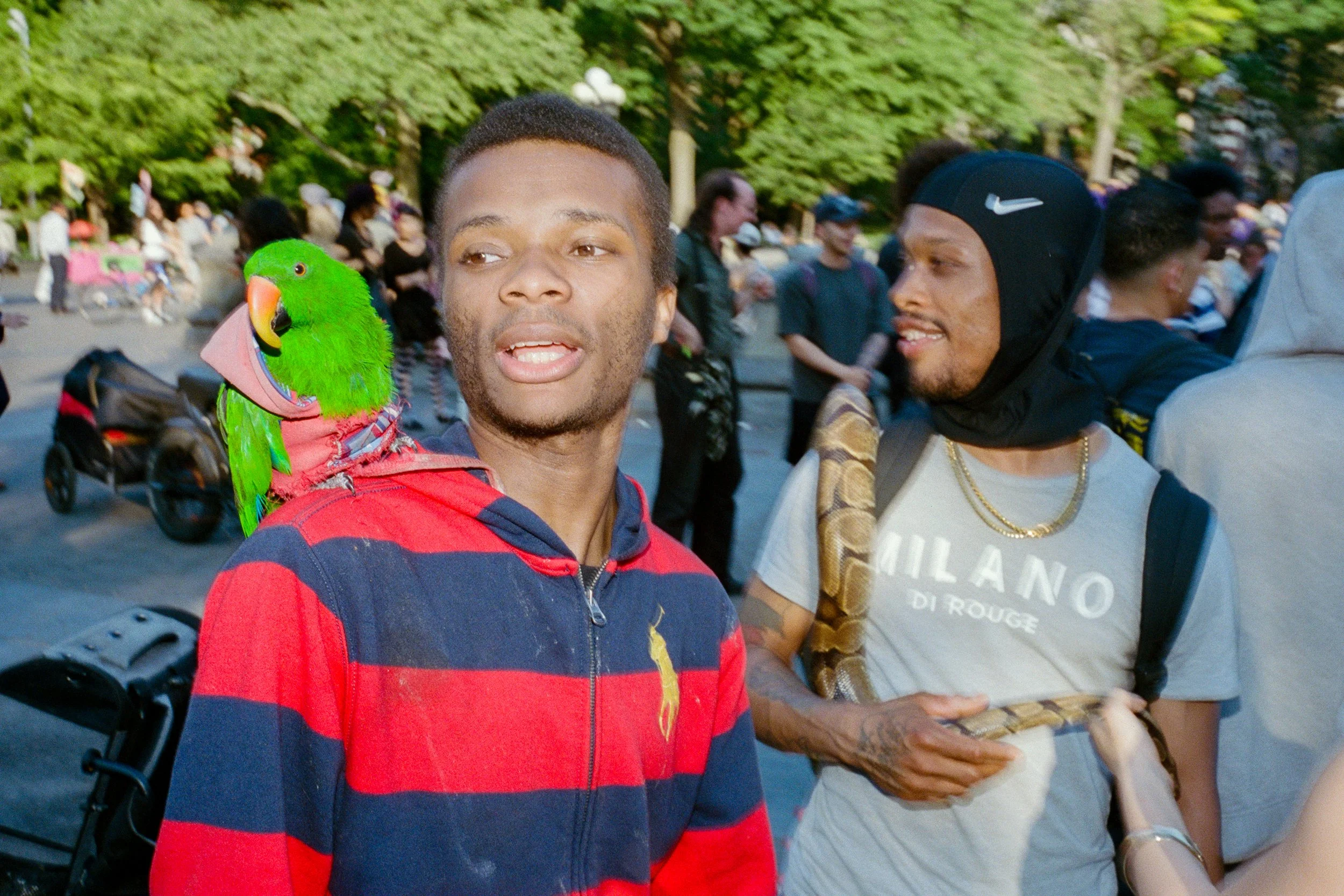 LeicaM6_02_NYC_50-59st_Sogo_WashingtonSquarePark_100993810038.jpg