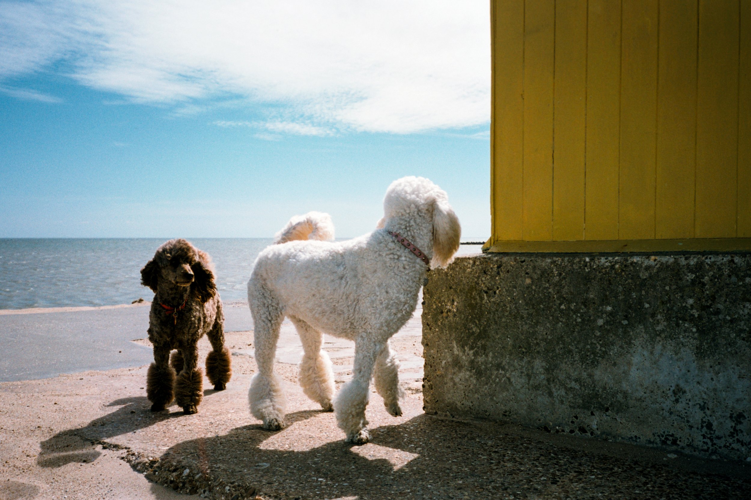 OlyMjuII_BristolPremiere_Jaywick_nahmlos_2166-005.jpg