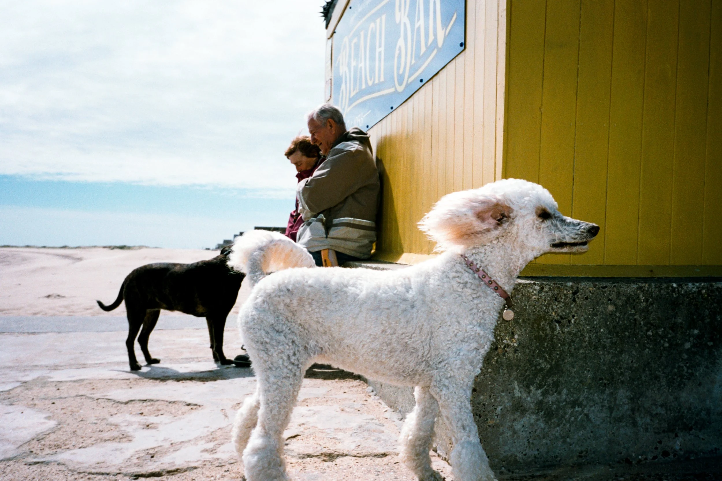 OlyMjuII_BristolPremiere_Jaywick_nahmlos_2166-006.jpg