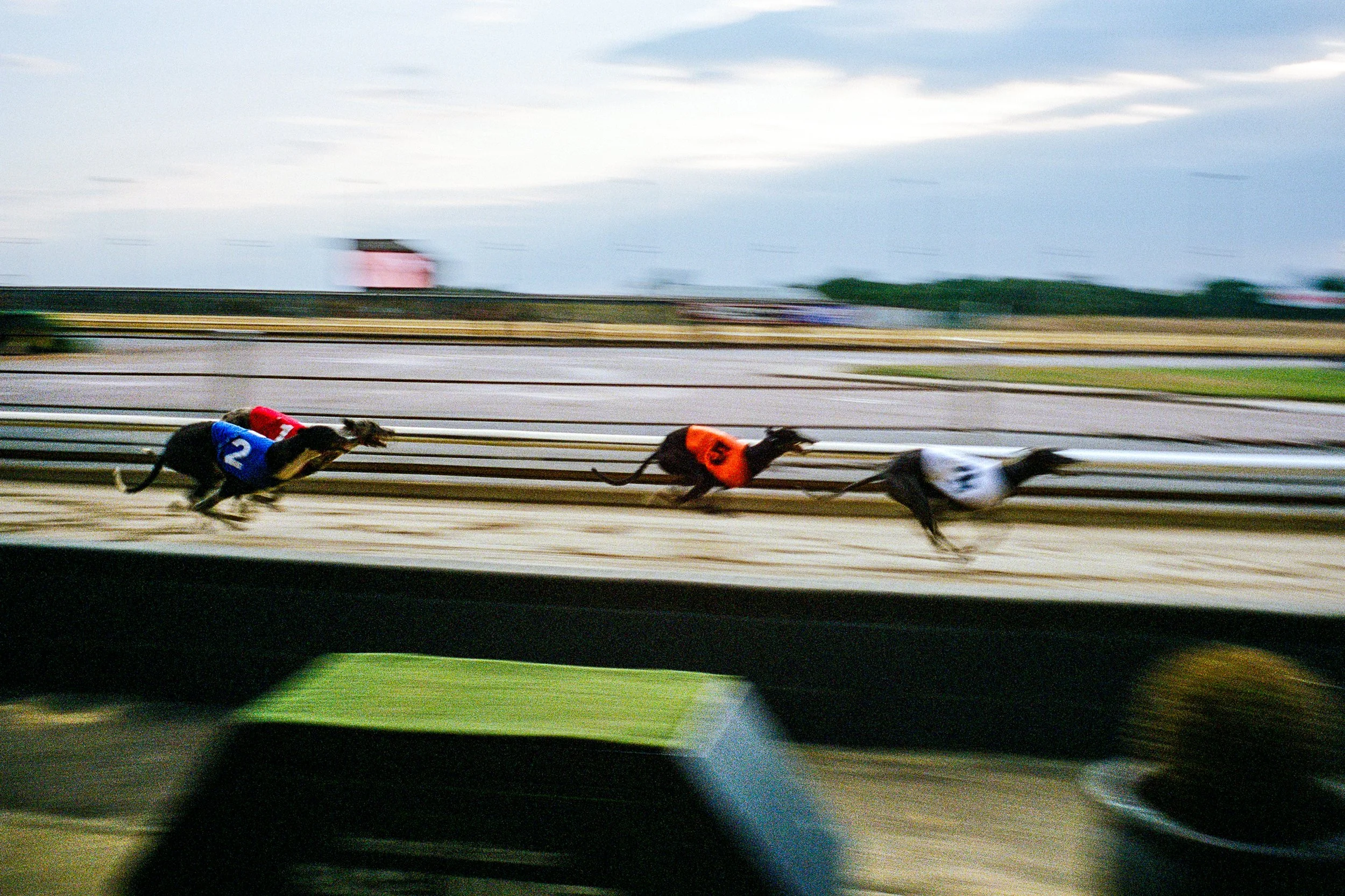 LeicaM6_11_GreatYarmouth_Greyhound_Southend-On-Sea_07_101024600009.jpg
