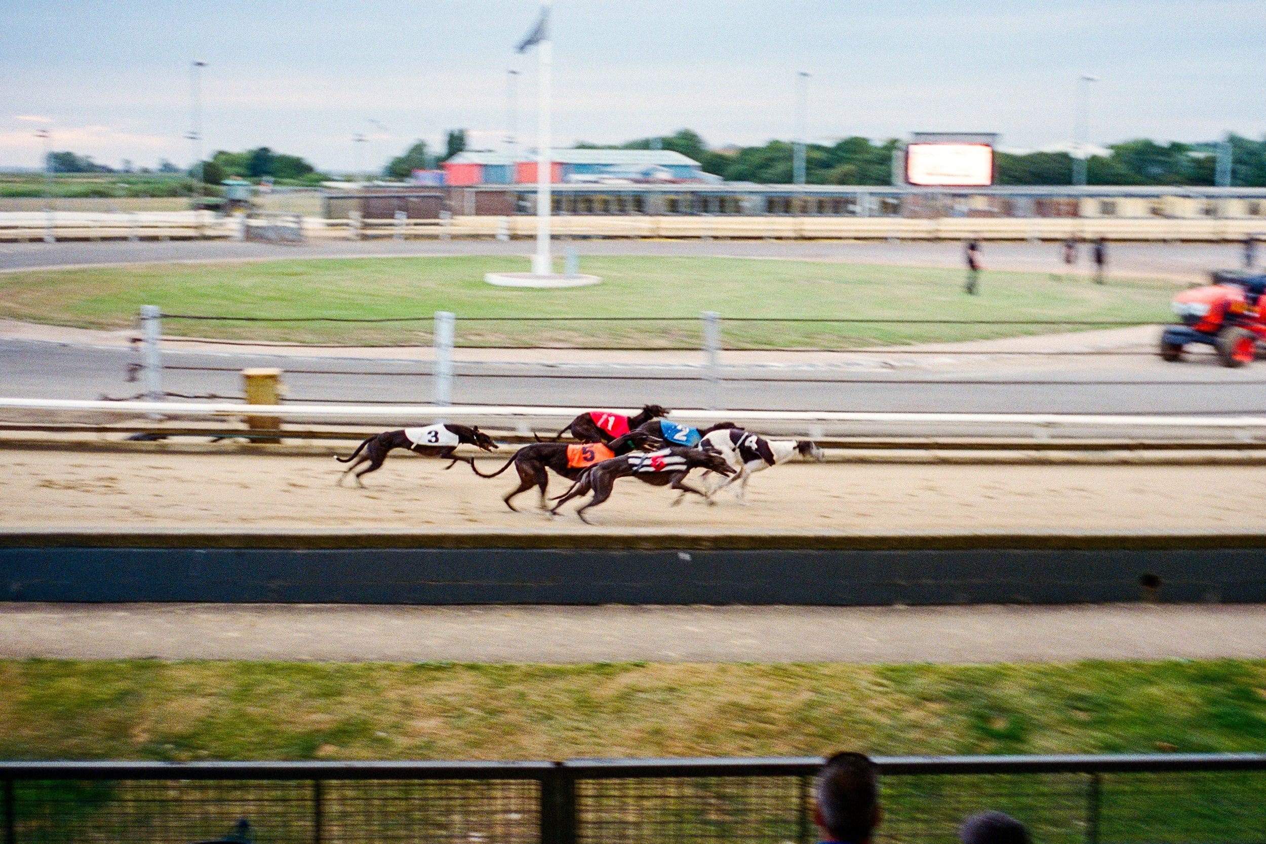 LeicaM6_11_GreatYarmouth_Greyhound_Southend-On-Sea_07_101024600010.jpg