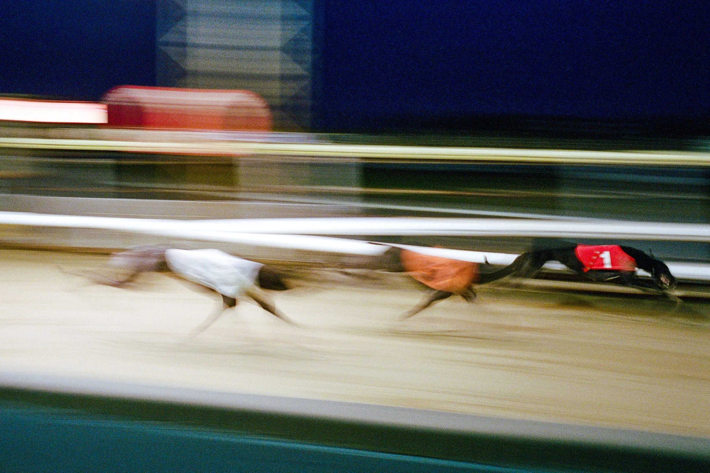 LeicaM6_11_GreatYarmouth_Greyhound_Southend-On-Sea_07_101024600012.jpg
