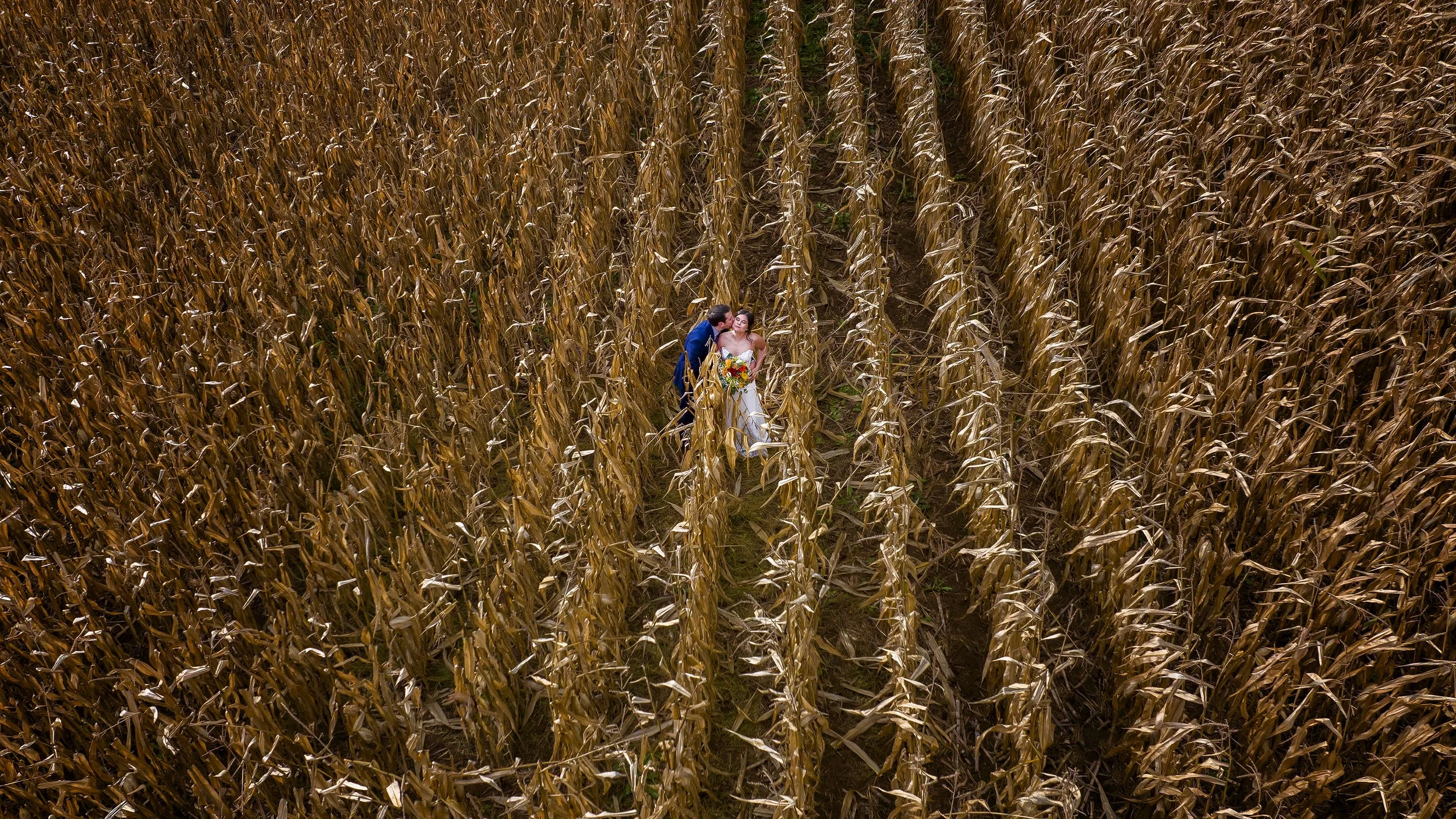 A bride and groom in wedding attire standing in the middle of a cornfield, with the groom kissing the bride on the cheek and the bride holding a bouquet of colorful flowers.