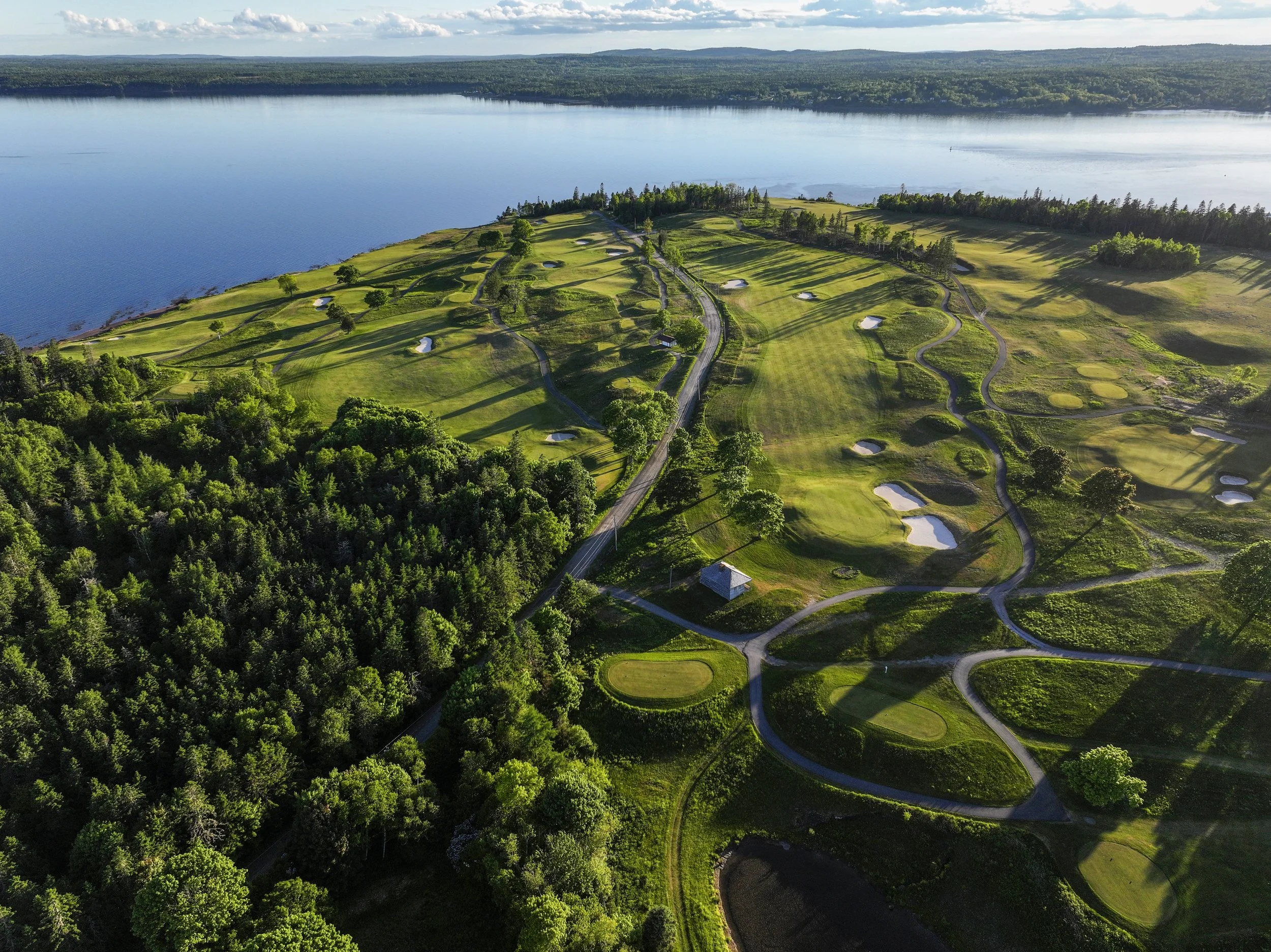 Aerial view of St Andrews golf course next to a large body of water, with trees, sand traps, and walking paths across the lush green landscape.