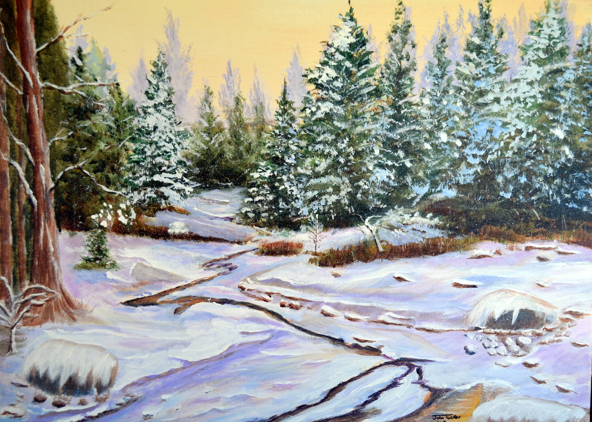 Frozen stream.JPG