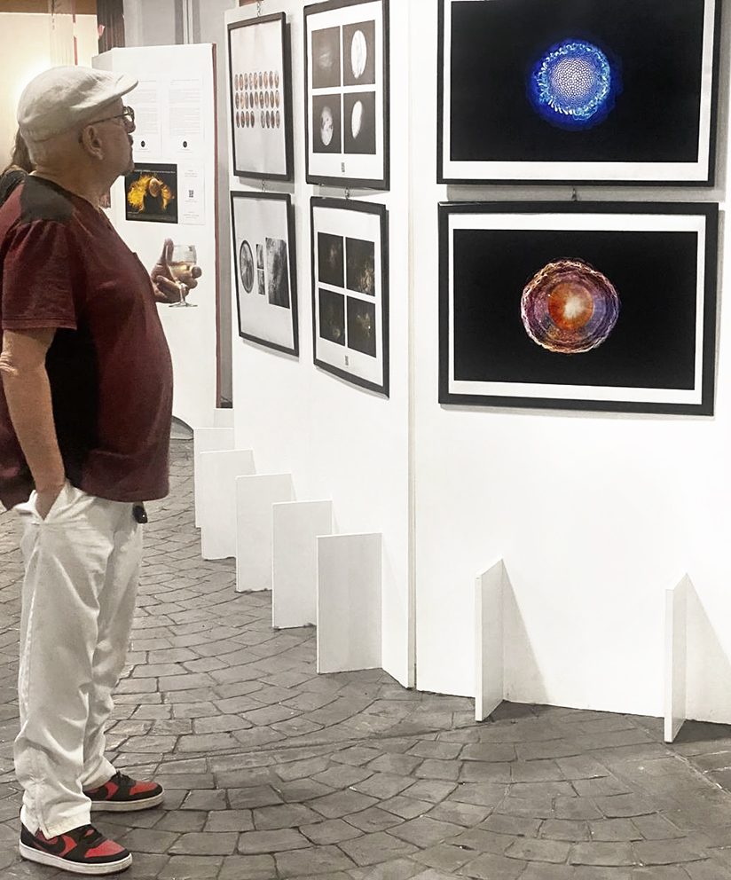 Crystallization_International Group Exhibition_2.webp