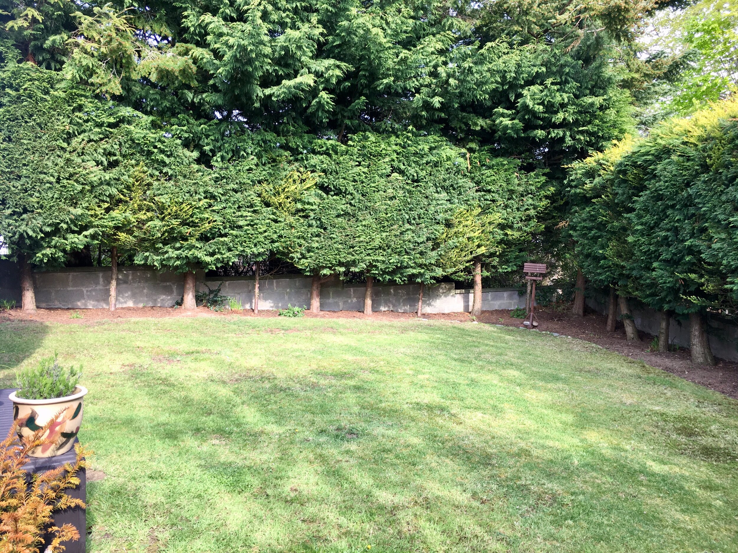 Garden.jpeg