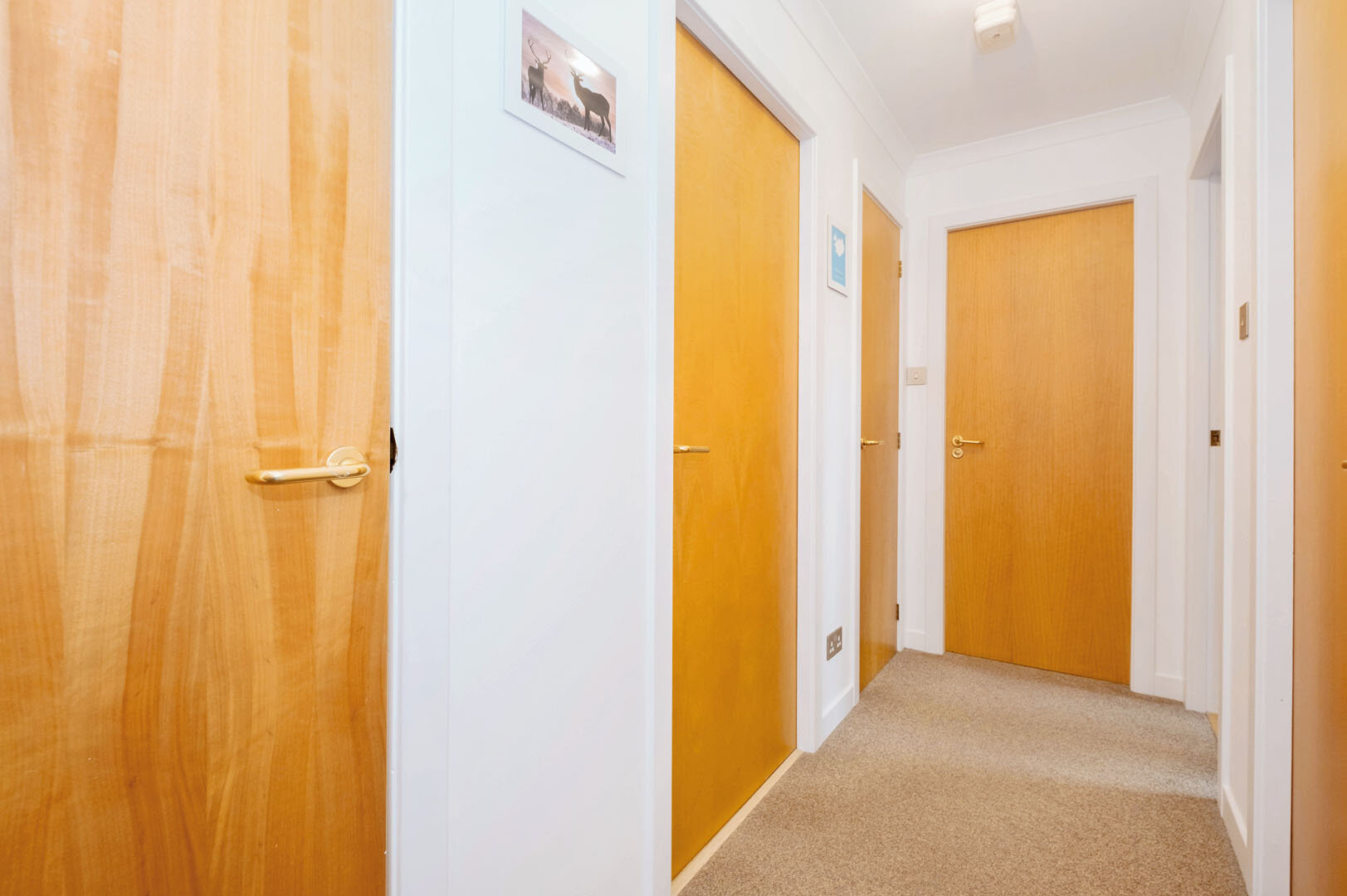 Hall.jpg