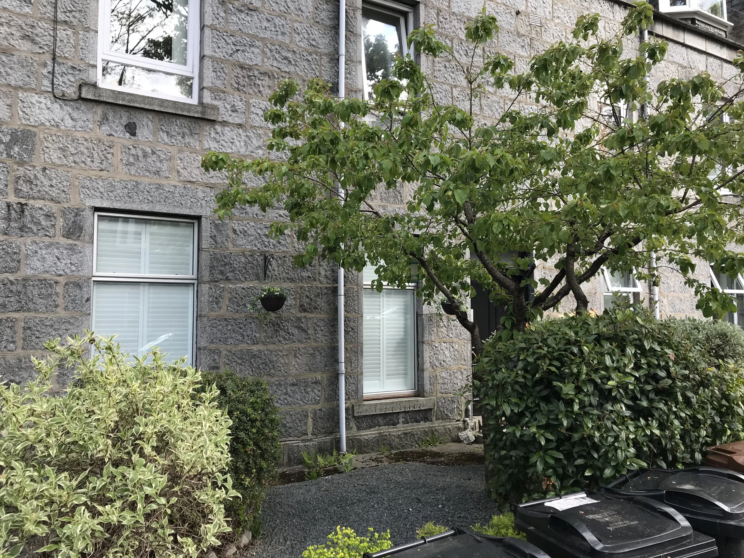Front Garden.JPG