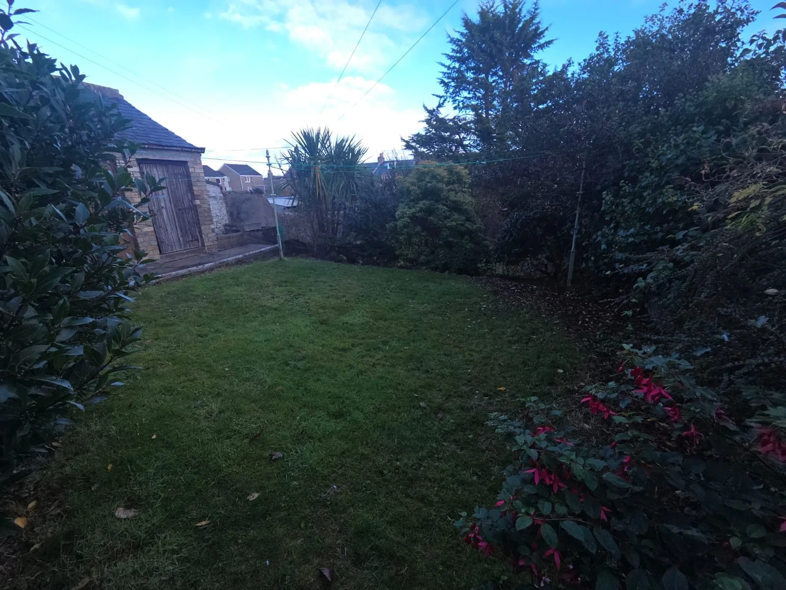 WhatsApp Image 2025-10-29 at 1.51.46 PM (1).jpeg