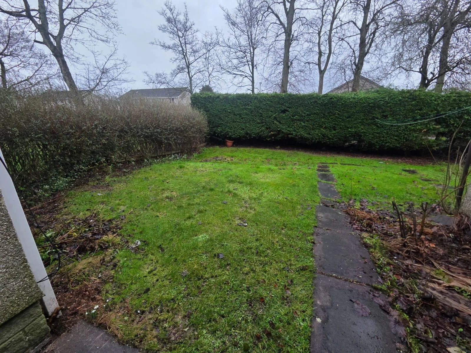 WhatsApp Image 2026-02-06 at 10.00.06 AM.jpeg