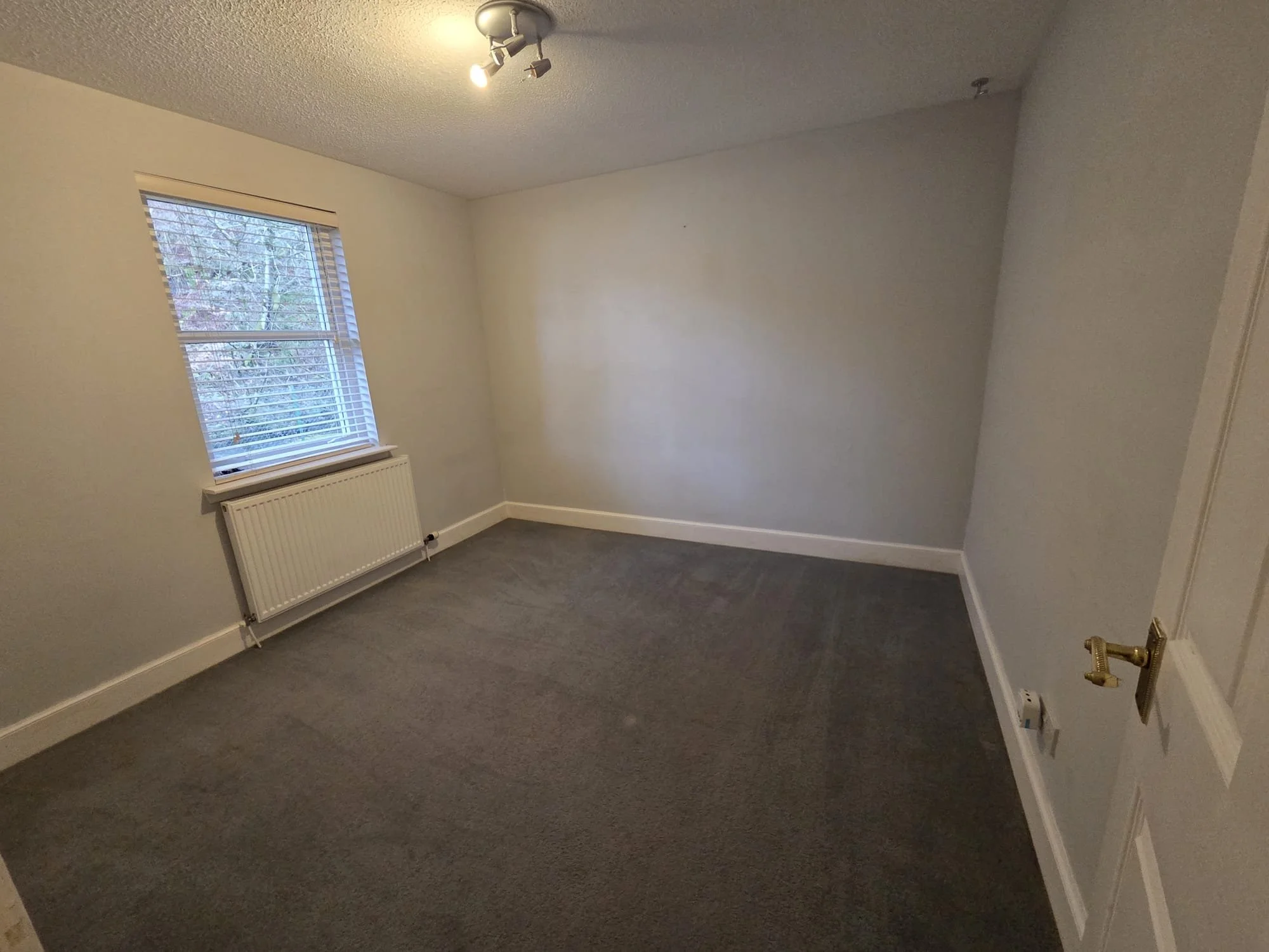 WhatsApp Image 2026-02-11 at 11.02.03 AM (1).jpeg