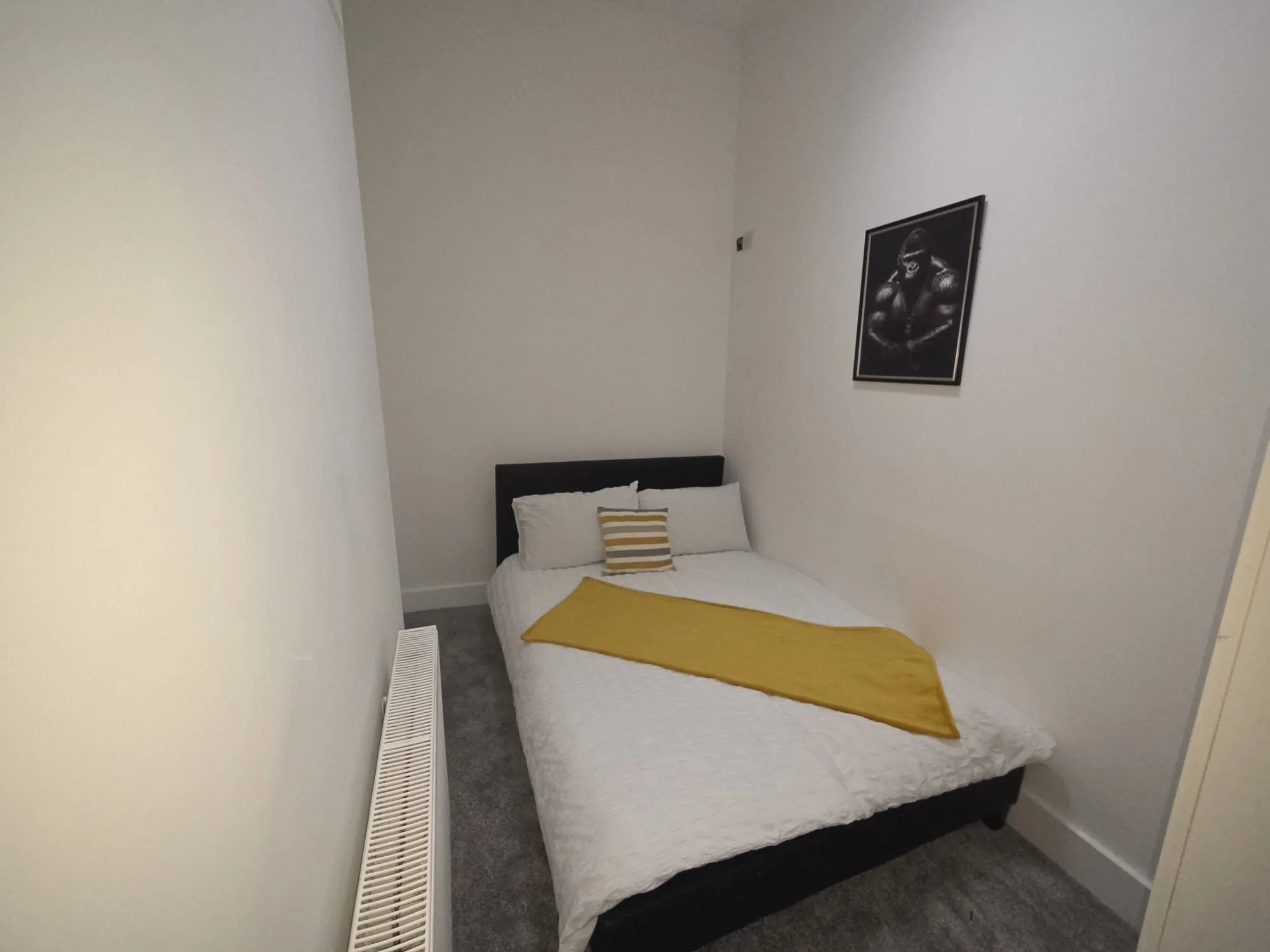 WhatsApp Image 2026-01-20 at 3.37.53 PM (2).jpeg