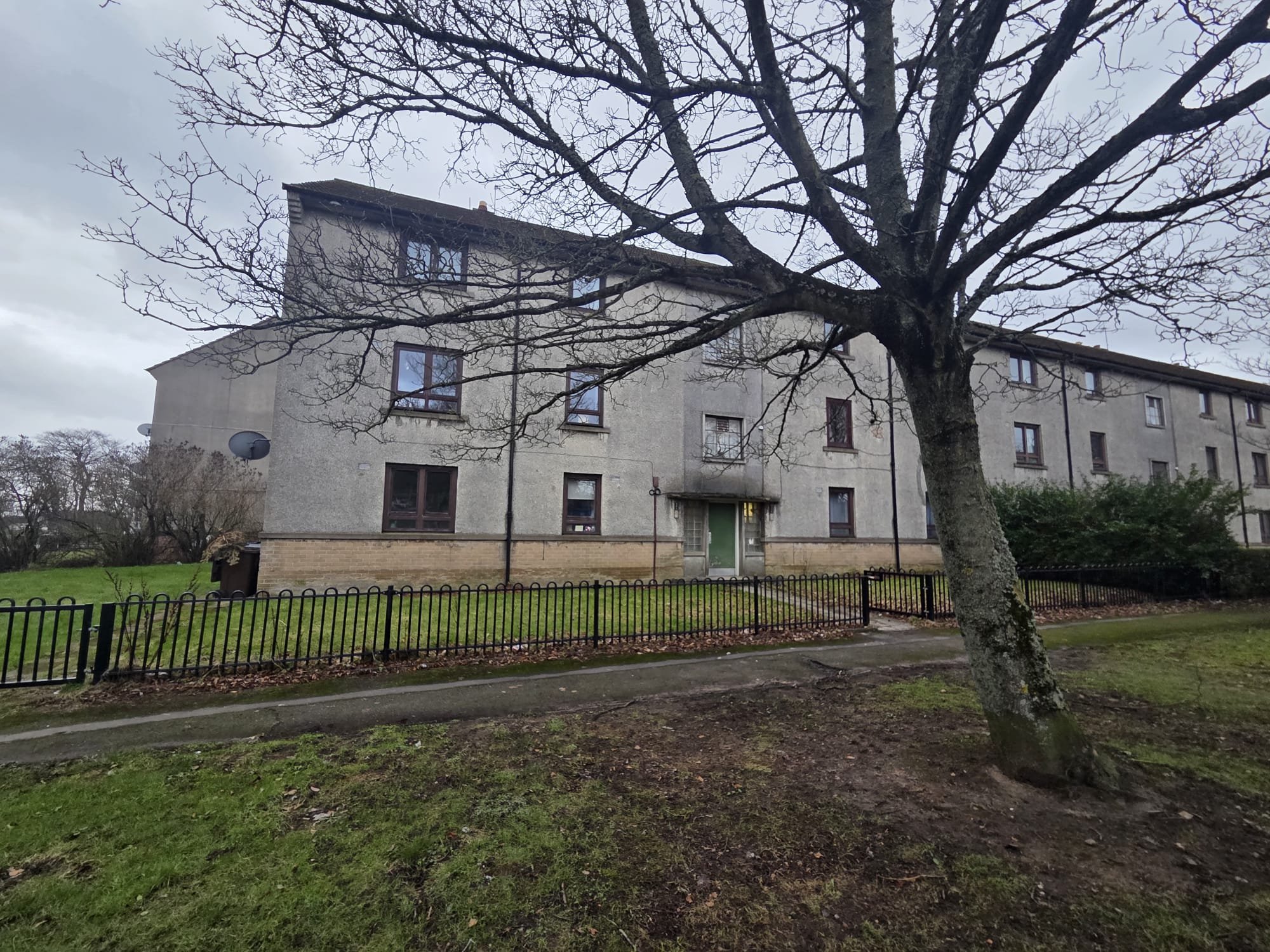 WhatsApp Image 2026-02-19 at 2.12.39 PM.jpeg