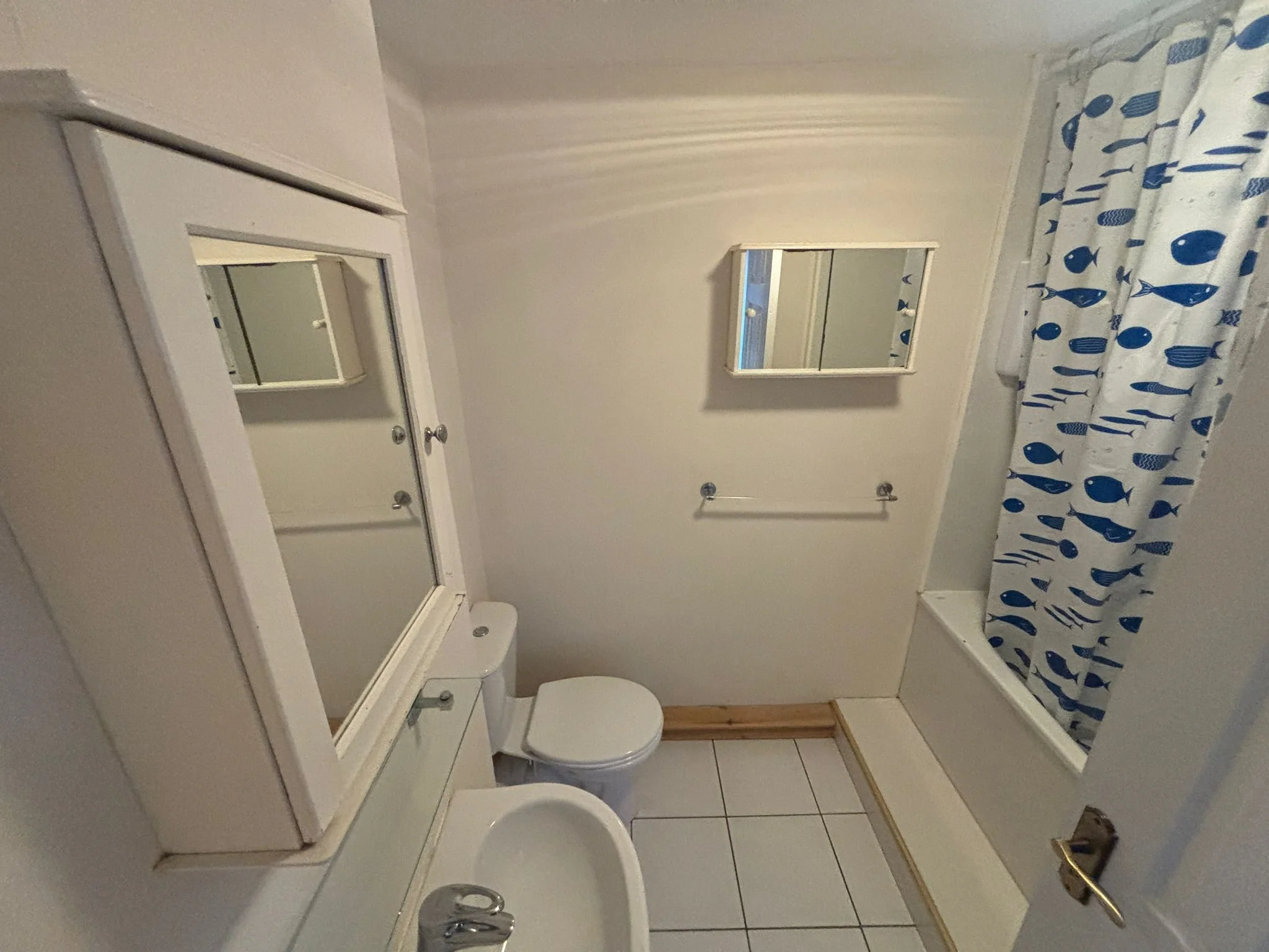 WhatsApp Image 2026-03-20 at 2.03.22 PM (1).jpeg