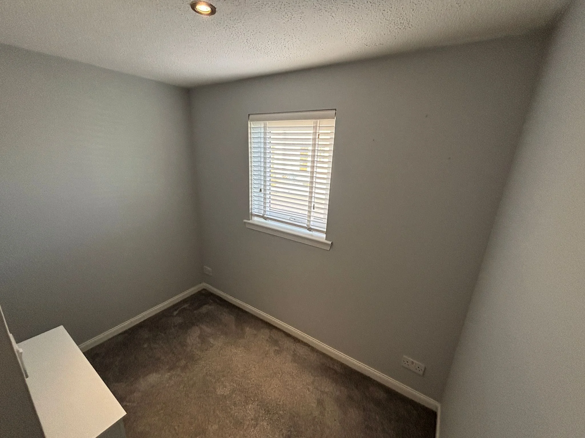 WhatsApp Image 2026-04-02 at 4.28.19 PM (3).jpeg