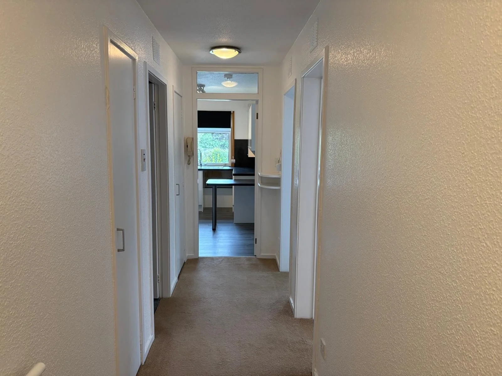 IMG0010.jpg