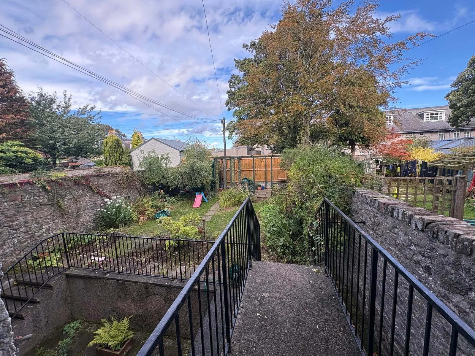 IMG0001.jpg