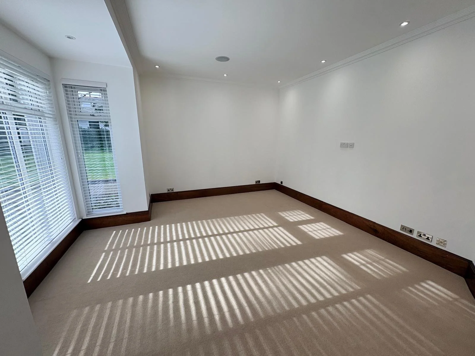 tv room.jpeg