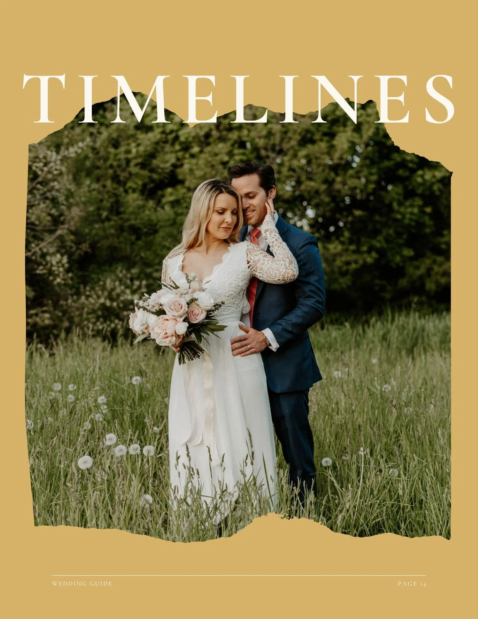 TIMELINES OPTION II.jpg