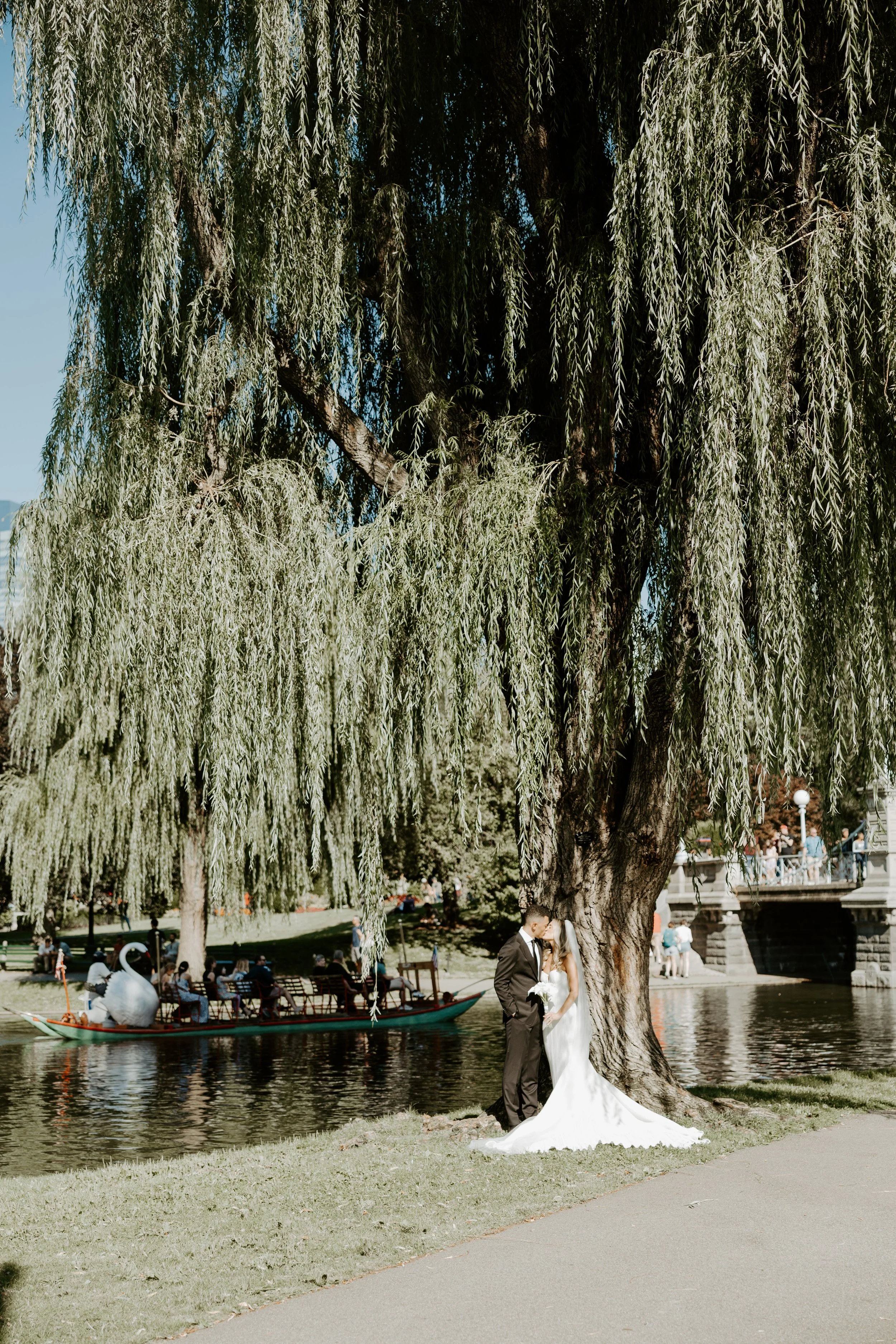 A couple standing underneath a willow tree at elopement location Boston Public Garden
