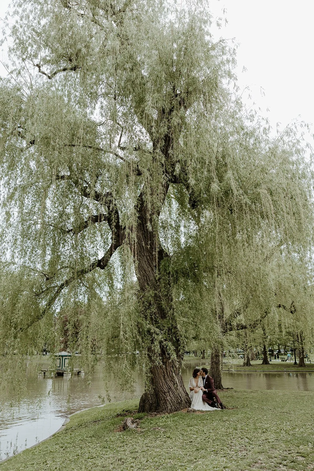 A couple under a willow tree for elopement photos