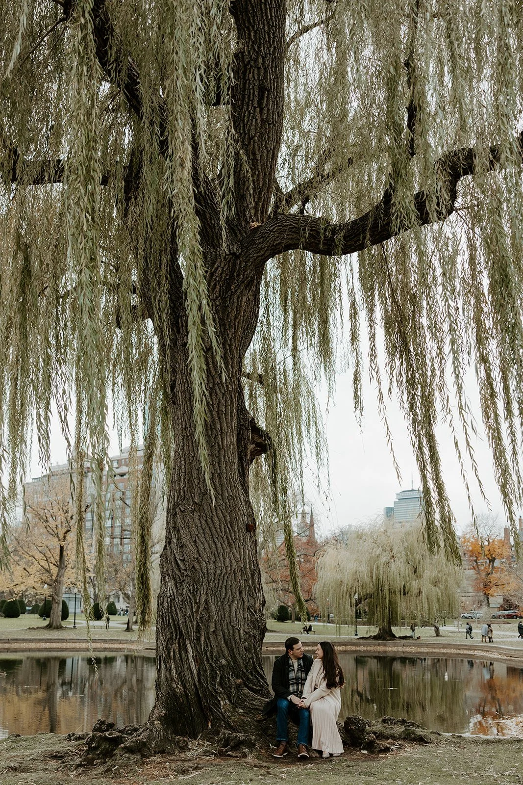 engagement photos at Massachusetts engagement photo location Boston Public Garden
