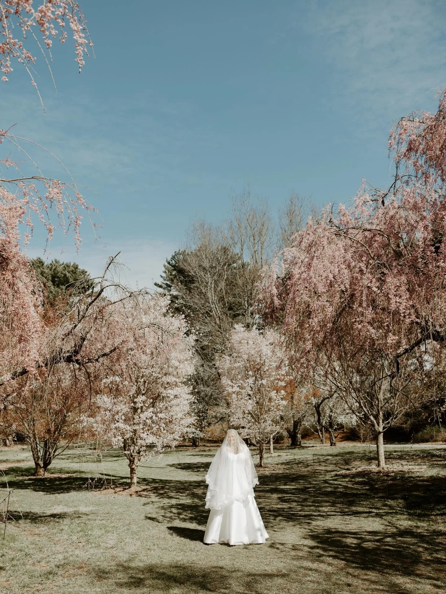 Kaitlin &amp; Alex got all dressed up again after their wedding day to take photos among the blooms 🌸