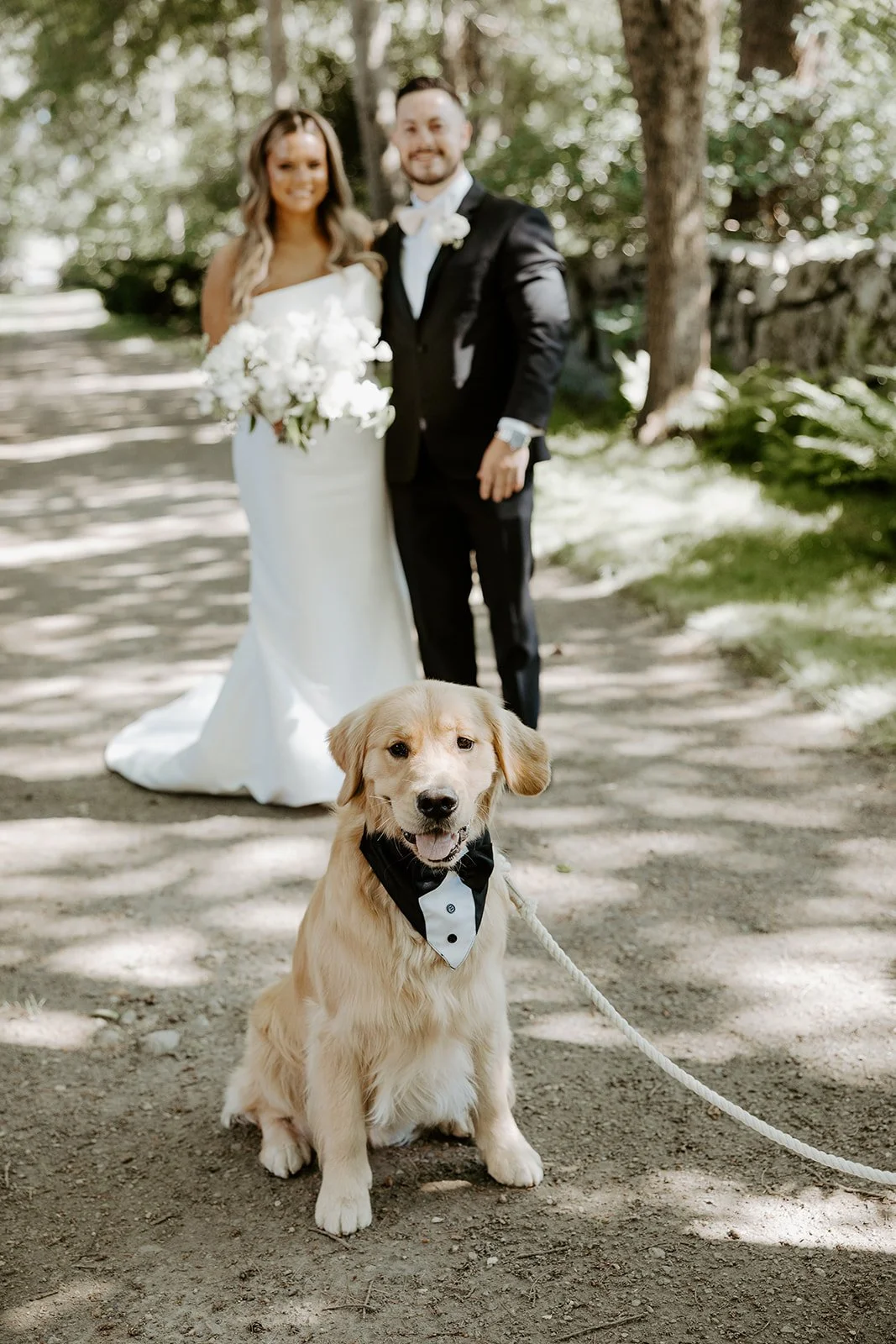 A bride and groom taking wedding photos with their dog