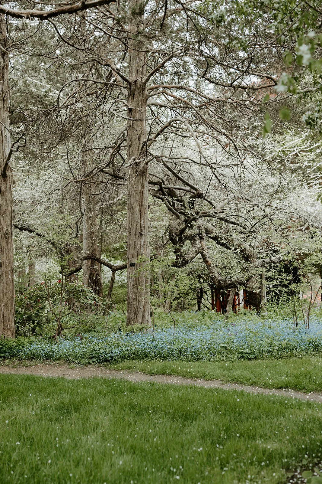 Views from a garden wedding venue showing why spring is the best time to get married